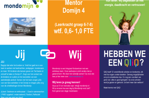 vacature-Domijn-4.png